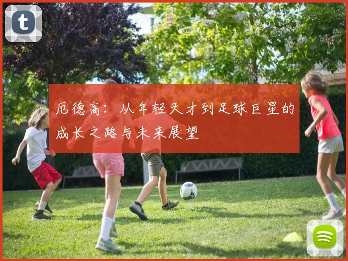 厄德高：从年轻天才到足球巨星的成长之路与未来展望
