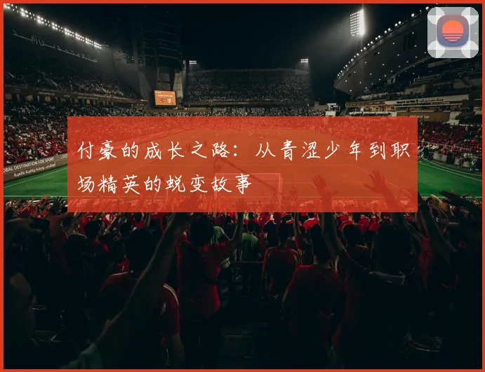 付豪的成长之路：从青涩少年到职场精英的蜕变故事