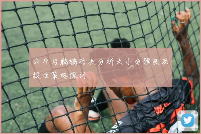 公牛与鹈鹕对决分析大小分预测及投注策略探讨